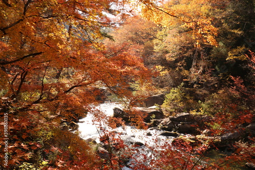 秋の渓谷 御岳昇仙峡は甲府市の北部の渓谷。溪谷沿いの遊歩道からは花崗岩の断層や奇岩・奇石の絶景を見ることができる。