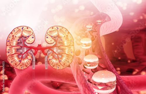 Foto Fast food burgers with human Kidney. 3d illustration.