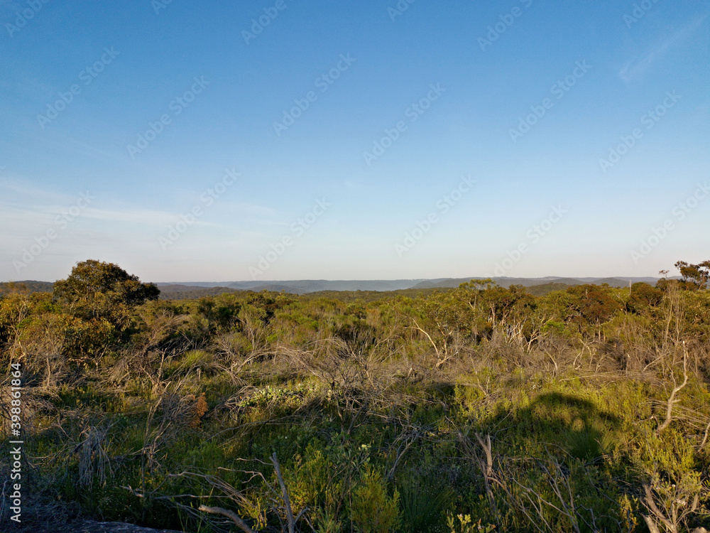 Beautiful afternoon view of mountain ranges, trees and deep blue sky from a trail, Mackerel Trail, Ku-ring-gai Chase National Park, Sydney, New South Wales, Australia
