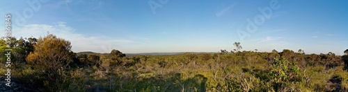 Beautiful panoramic view of mountain ranges, trees and deep blue sky from a trail, Mackerel Trail, Ku-ring-gai Chase National Park, Sydney, New South Wales, Australia 