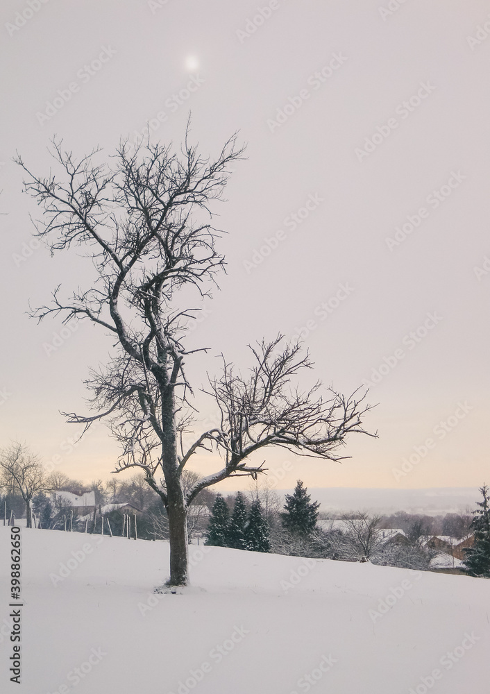 paysage de campagne en hiver avec de la neige par un matin brumeux paysage de campagne en hiver avec de la neige par un matin brumeux