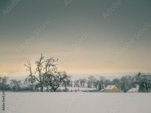 Photos paysage de campagne en hiver avec de la neige par un matin brumeux