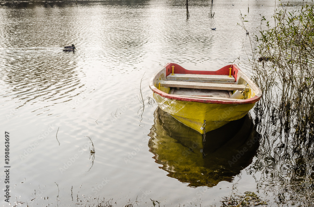 Novi Sad, Serbia - November 15. 2020: A forgotten fishing boat in the tributary of the Danube near Novi Sad, Serbia Novi Sad, Serbia - November 15. 2020: A forgotten fishing boat in the tributary of the Danube near Novi Sad, Serbia