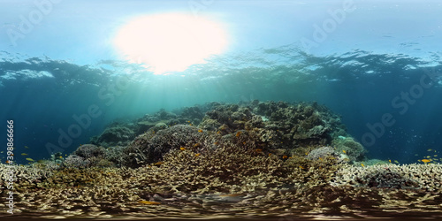 Underwater scene coral reef. Hard and soft corals, underwater landscape. Travel vacation concept. Philippines. Virtual Reality 360.