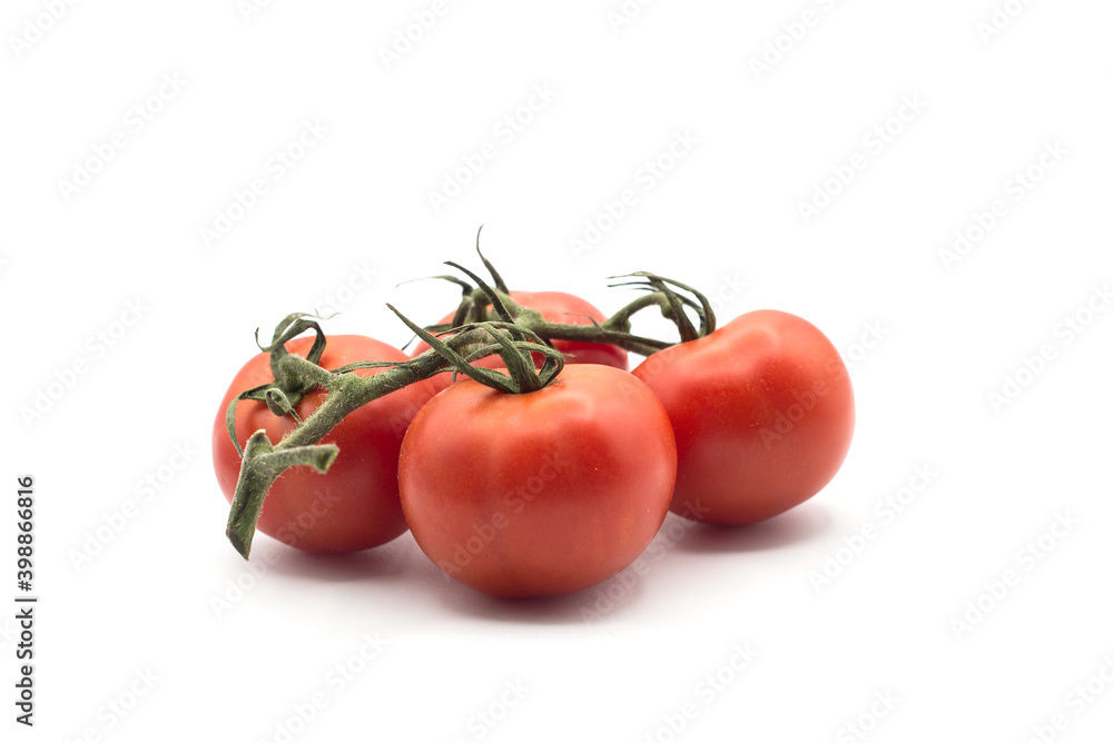 Closeup of fresh tomatoes on branch on white background Closeup of fresh tomatoes on branch on white background