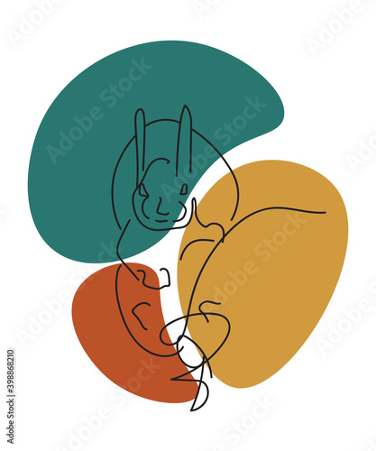 Abstract lines. Squirrel