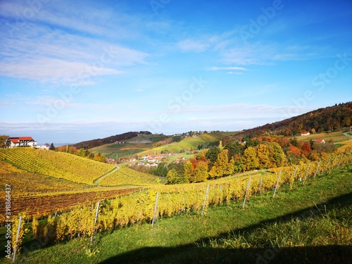 Südsteirische Weinstraße im Herbst