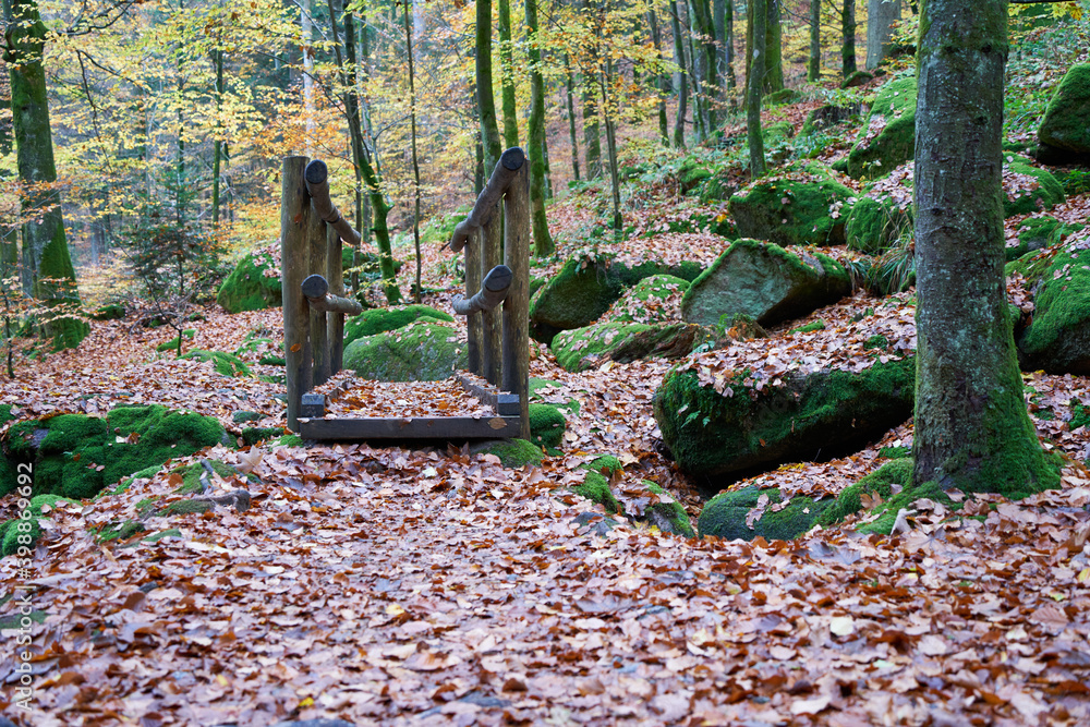 Small wooden Bridge in the black forest, big trees and mossy stones. slippery autumn leaves. Front view. Germany, Blackforest. - obrazy, fototapety, plakaty 