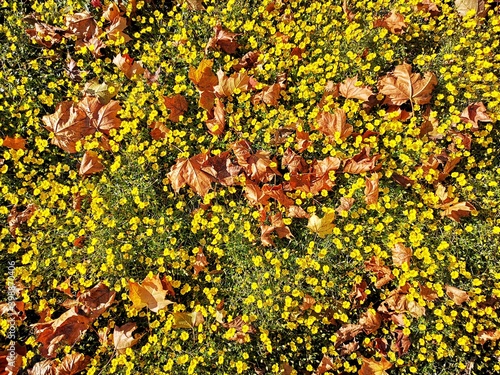 Südsteirische Weinstraße im Herbst photo