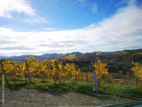 Südsteirische Weinstraße im Herbst photo