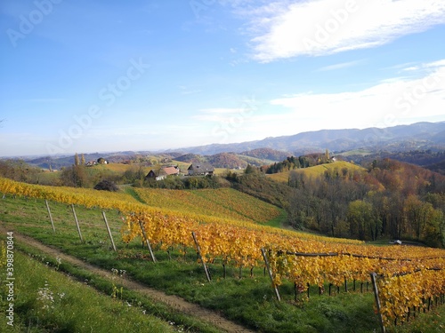 S  dsteirische Weinstra  e im Herbst