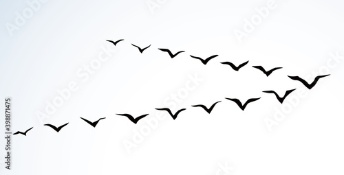 Duck flock in the sky. Vector drawing