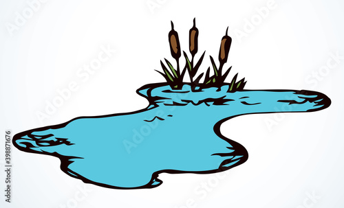 A pond with reeds. Vector drawing