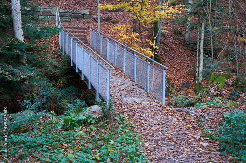 A steel bridge leads over a river in the black forest, through a lot of leaves on a smooth wooden floor there is a high risk of slipping and falling. Side View Germany, Blackforest, Gertelbach.