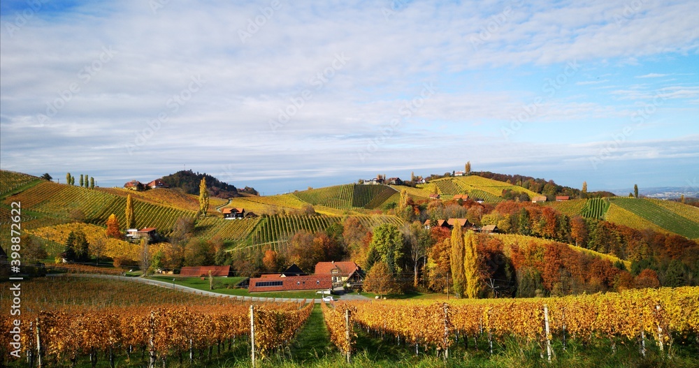 Fototapeta premium Südsteirische Weinstraße im Herbst