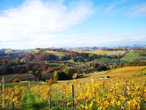 S  dsteirische Weinstra  e im Herbst