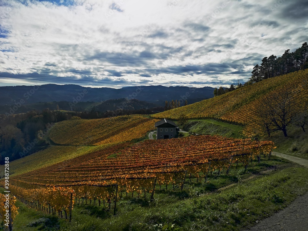 Obraz premium Steiermark im Herbst - Südsteiermark