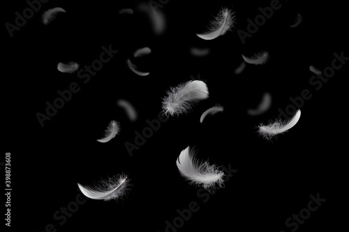 Light and soft fluffy a white feathers falling down in the dark. black background. abstract, feather freedom.