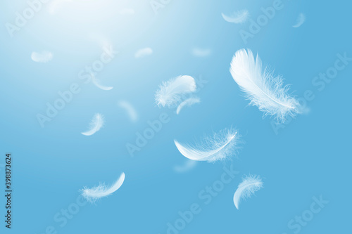 Light fluffy a white feathers falling down in a blue sky. abstract, feather floating freedom.