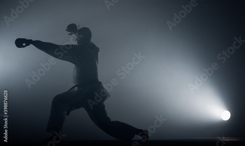 An image of a taekwondo martial arts master