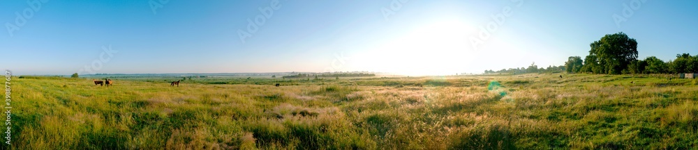 Wonderful panorama of the mountains. Horses on a mountain meadow. Summer panorama landscape in the mountains. Ukraine, Carpathians. Beautiful nature villages. Picture of wildlife Wonderful panorama of the mountains. Horses on a mountain meadow. Summer panorama landscape in the mountains. Ukraine, Carpathians. Beautiful nature villages. Picture of wildlife