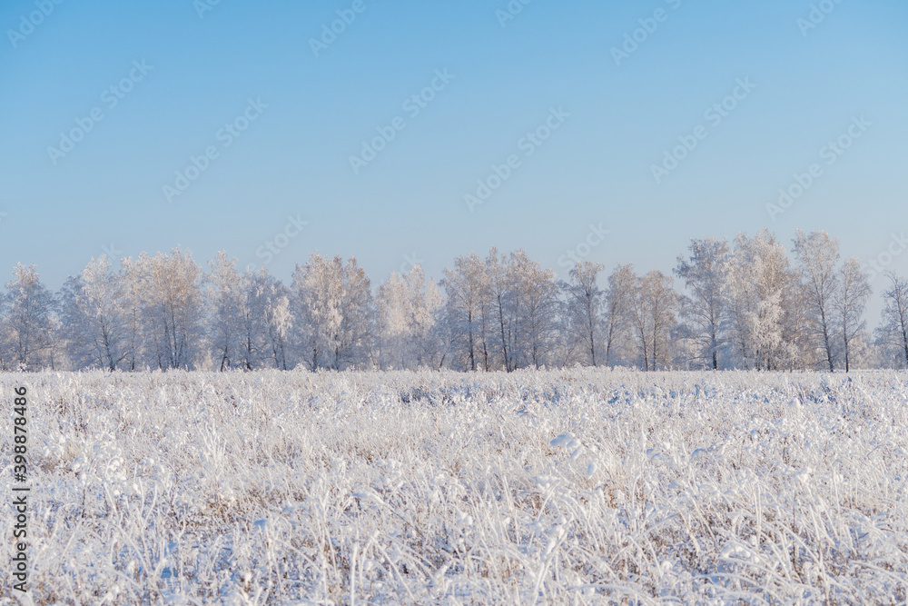 Snow covered winter field with trees. Winter landscape. Beautiful winter nature.
Snow covered winter field with trees. Winter landscape. Beautiful winter nature.