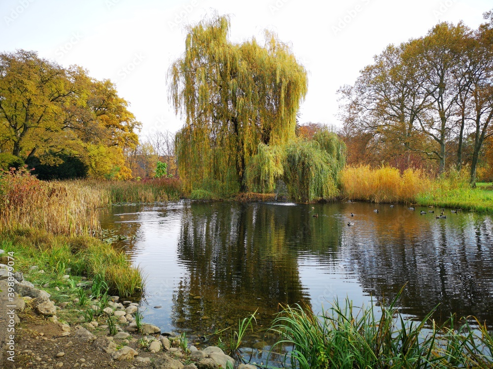 Fototapeta premium Schloss Eggenberg Graz mit Schlosspark
