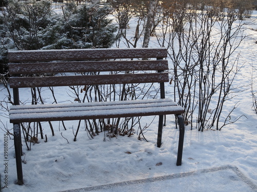 Wooden bench in the snow. First snow. Change of seasons.