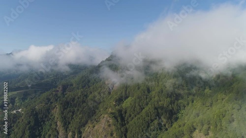 Wallpaper Mural Aerial view mountains covered forest, trees in clouds. Cordillera region. Luzon, Philippines. Slopes of mountains with evergreen vegetation. Mountainous tropical landscape. Torontodigital.ca