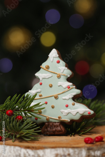 Gingerbread cookie in festive Christmas arrangement with bokeh lights in background. Biscuit in Christmas tree shape with royal icing.