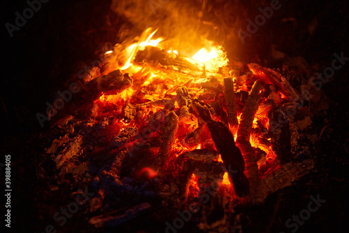 Bonfire in the woods