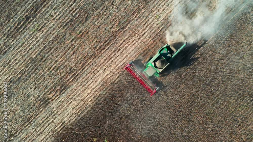 Harvester harvests sunflowers on a sunny autumn day - overhead drone view. Collecting sunflower seeds in a farm field using a combine harvester - tracking Drone following Harvester harvests sunflowers on a sunny autumn day - overhead drone view. Collecting sunflower seeds in a farm field using a combine harvester - tracking Drone following