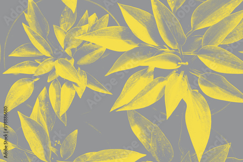 Hosta leaves pattern in trendy 2021 new colors. Illuminating Yellow and Ultimate Gray. Color of the Year 2021. Summer plants wallpaper