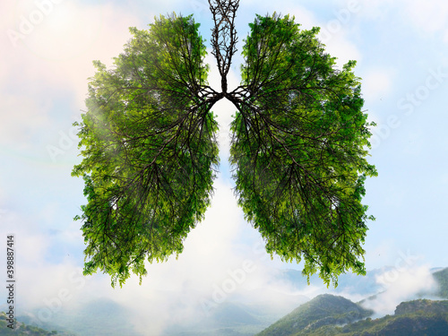 The silhouette of the lungs against the background of a mountain landscape. Trees are the lungs of the planet. Air purification. Mountains. Ecological concept.