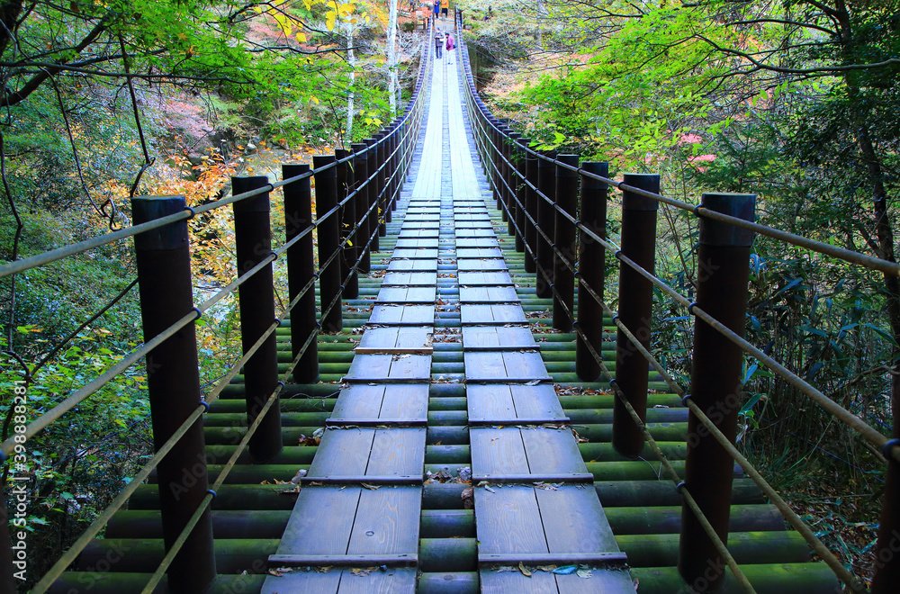 Obraz premium suspension bridge in autumn forest