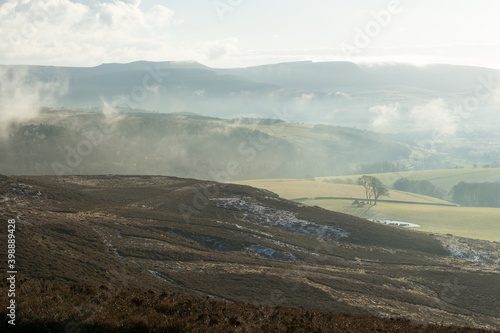 Northumberland Mist