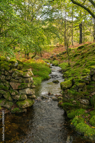Autumn in Eskdale