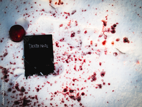death note in the snow with blood