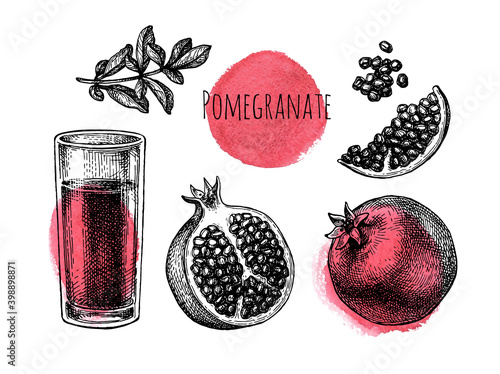 Pomegranate ink sketch collection.
