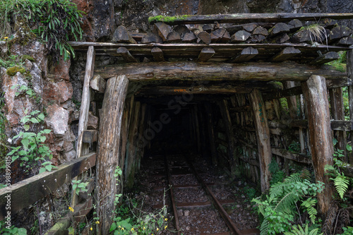 entrance of an abandoned mine. The environment is humid and there is vegetation. The tracks of the wagons are preserved
