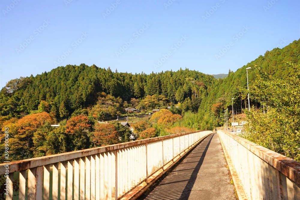 Autumn view of Kiso River and the bridge in Gifu prefecture, Japan - 岐阜県 秋の木曽川 橋