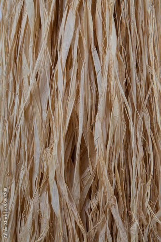Loose hanging bast fiber for natural background