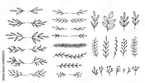 Vector dividers and laurels. Hand drawn botanical design elements. Borders, branches, leaves isolated.