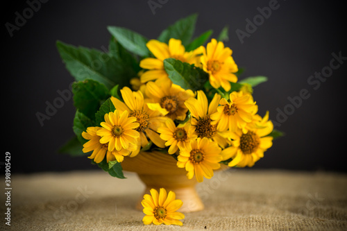 bouquet of beautiful yellow daisies on black background