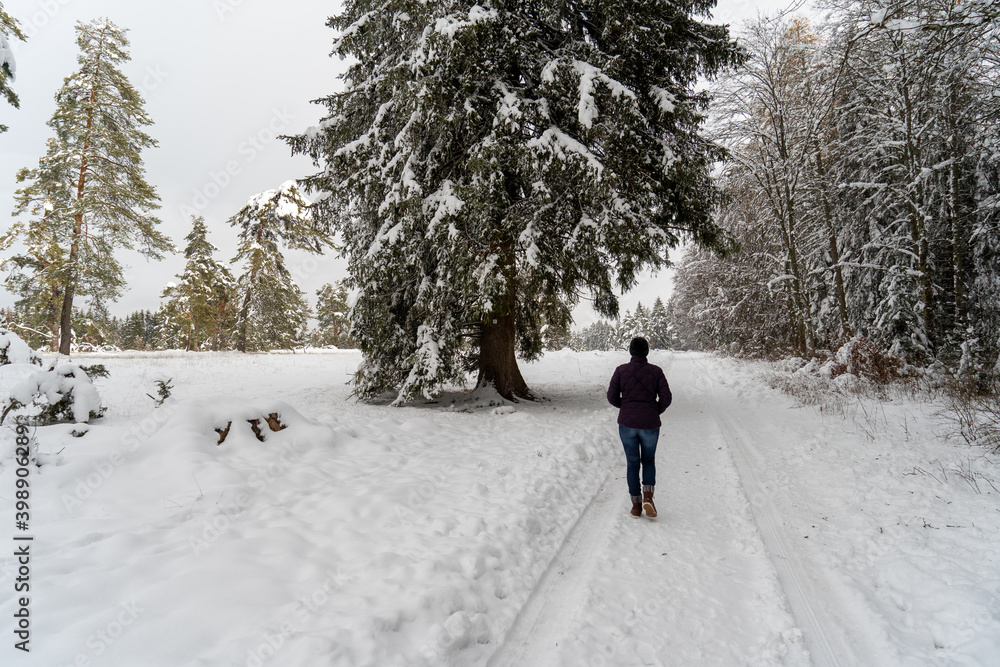 Winterlandschaft auf dem Russberg bei Tuttlingen Winterlandschaft auf dem Russberg bei Tuttlingen