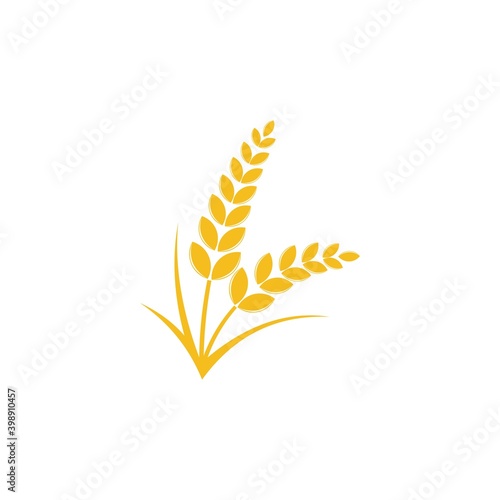 Wheat logo template and grain spikes icons design