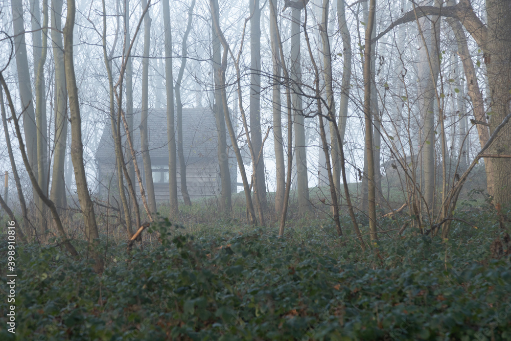 Obraz premium Scary house in forest through mist and fog with ghostly trees feeling lost