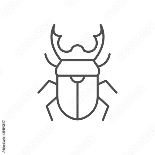 Stag beetle line outline icon