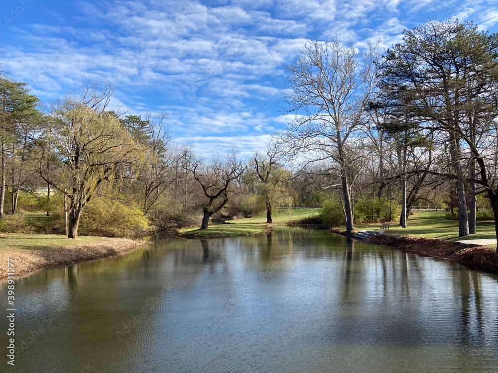 landscape with lake and trees landscape with lake and trees