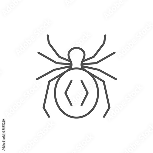 Spider line outline icon or insect concept